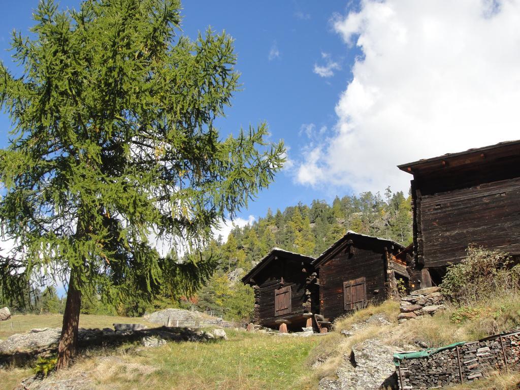 Haus Alpenstern Apartment Saas-Grund Exterior photo